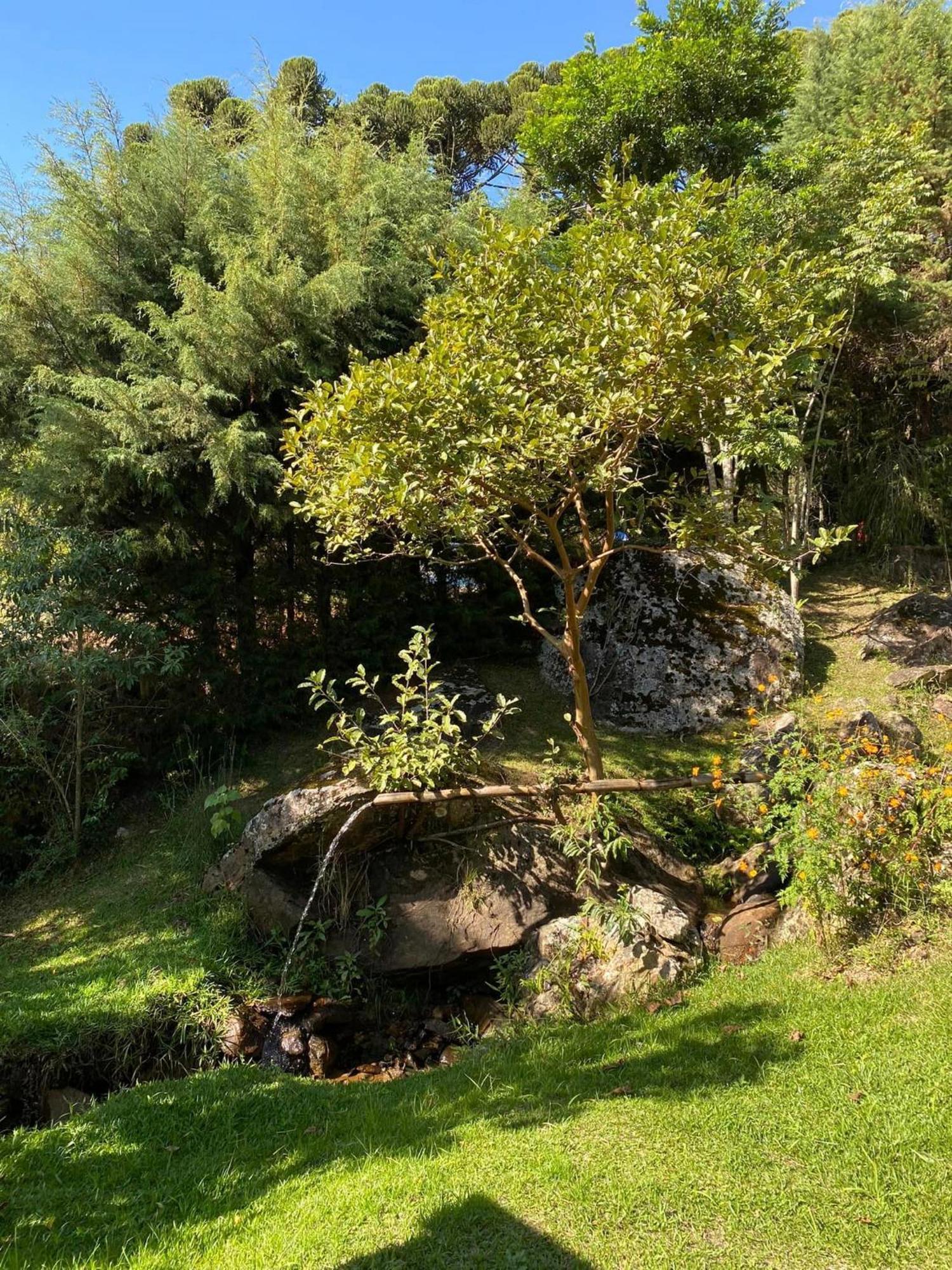 Casa Na Montanha A 500 Metros Da Pedra Do Bau Homestay Sao Bento do Sapucai